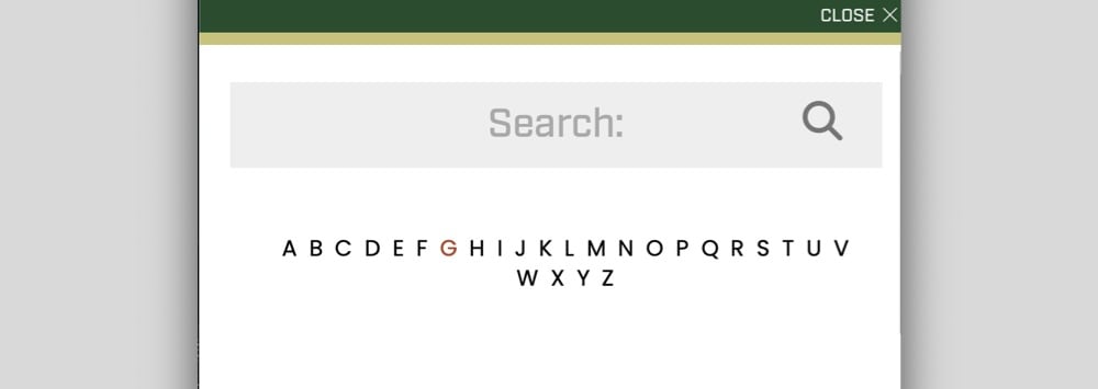 Mobile header of a site with the search feature expanded to a fullscreen view, allowing the search box to use more space without clutter.