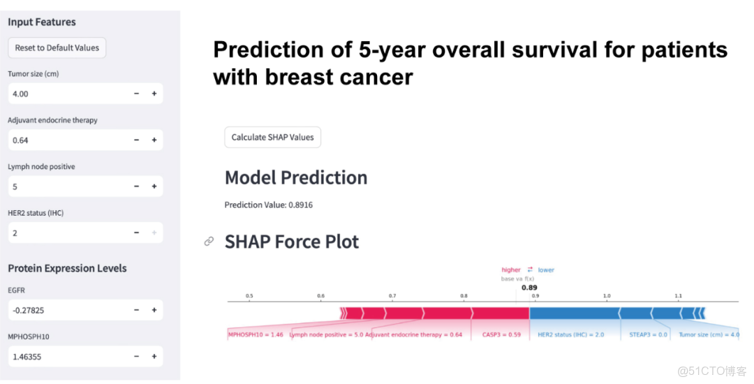 iMetaMed | 温附一夏二傑組-預測乳腺癌5年生存率-可解釋機器學習模型_預測模型_08