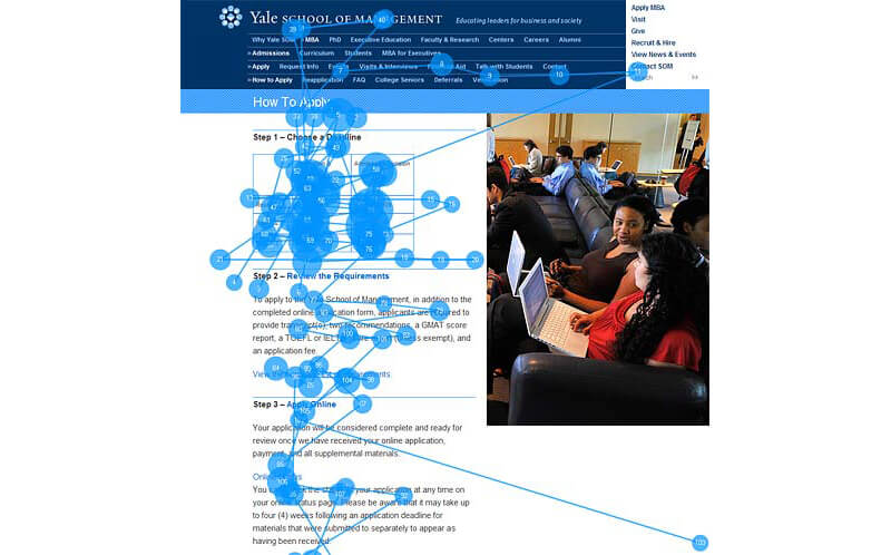 A decorative photo gets completely ignored in an eye-tracking study