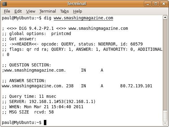 Dig example Screenshot