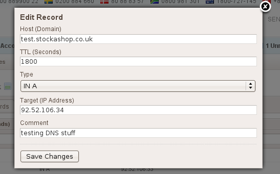 Editing a DNS entry Editing a DNS entry