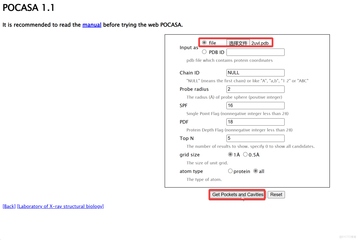 如何使用autodl連接docker_後端_08