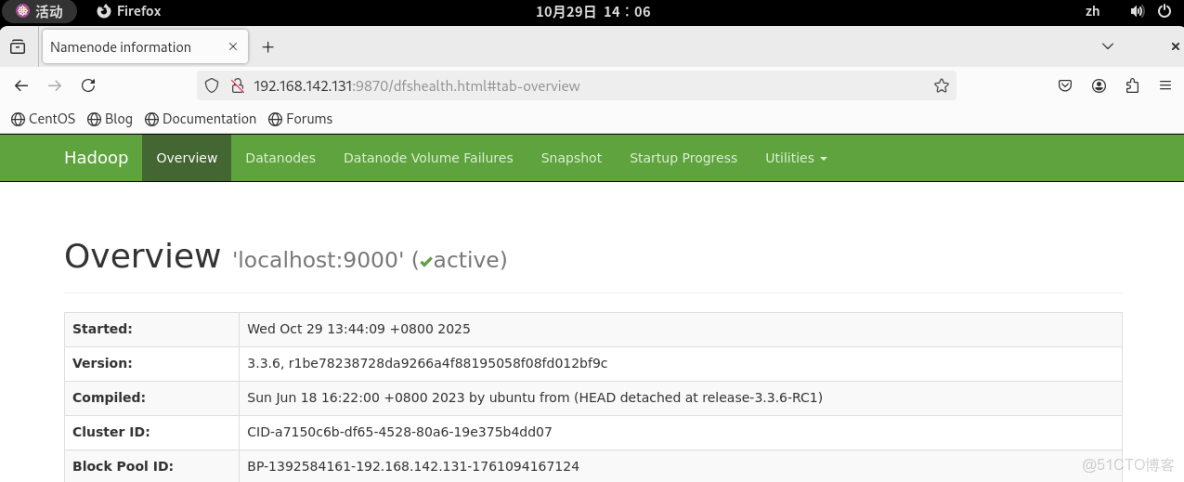 熟練掌握HDFS的Shell訪問和JavaAPI訪問_HDFS_05