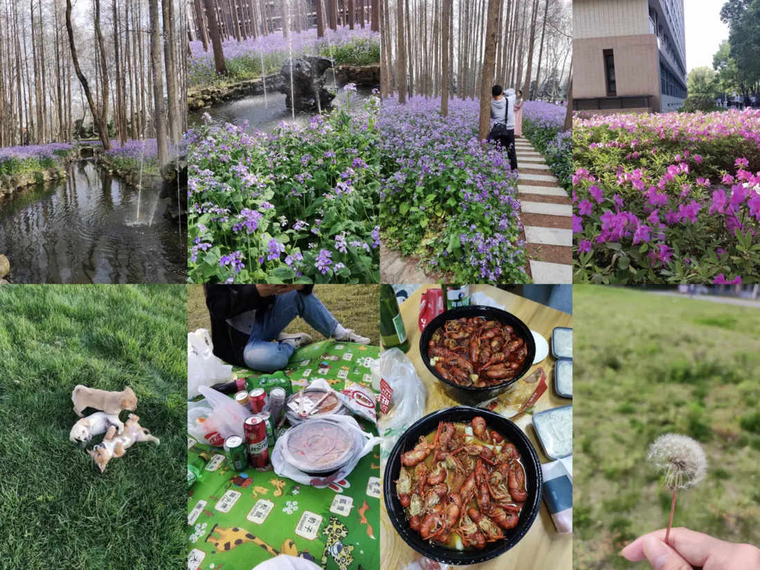 image-20221231185849126