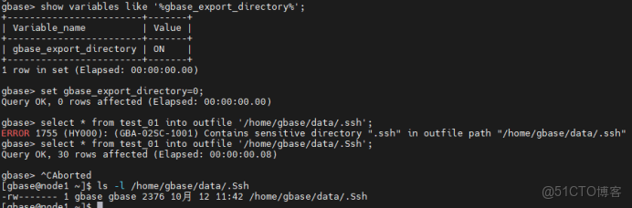 南大通用GBase 8a_SENSITIVE_DIRECTORY_ACCESS_DISABLE 參數介紹_默認值_07