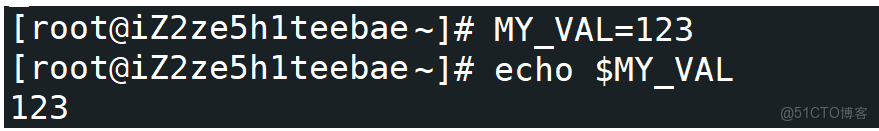 [Linux]為什麼你的程序找不到路徑?答案藏在環境變量中_本地變量_11