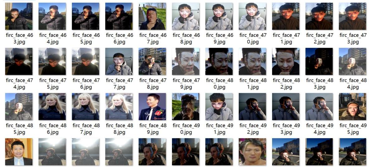 真假人臉檢測偽人臉檢測數據集VOC+YOLO格式4520張2類別_數據集