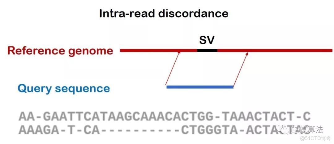 SPARK 基因_#算法_03