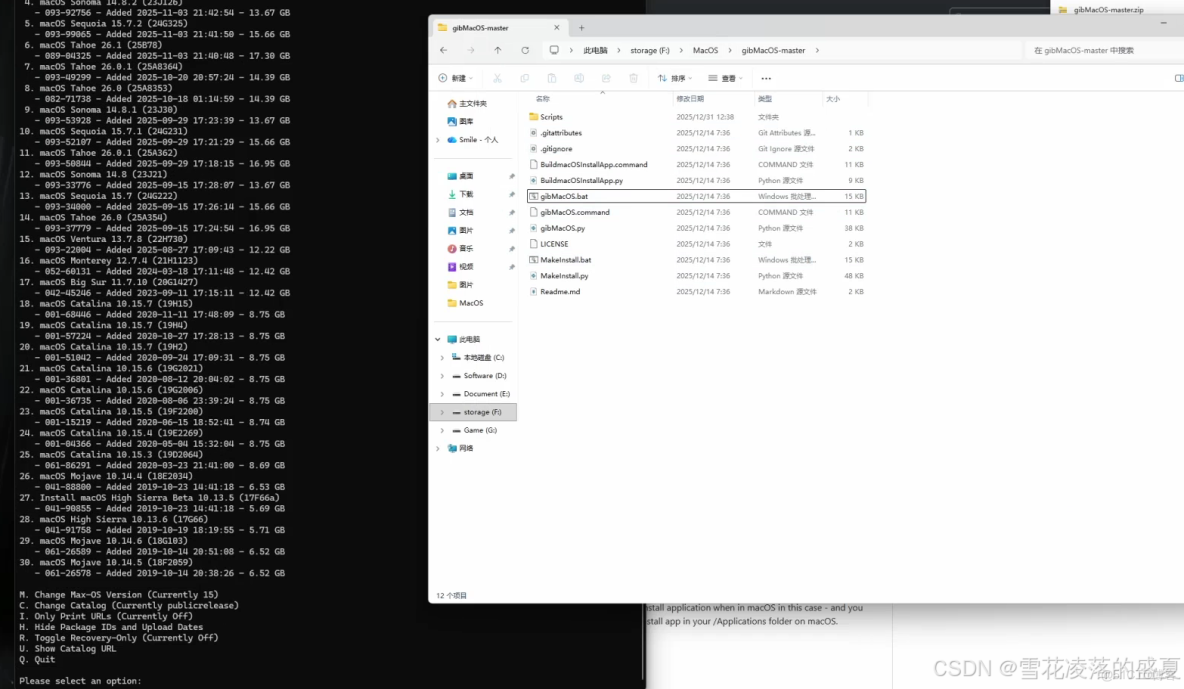 全網最簡單的黑蘋果安裝教程之一_Mac_20