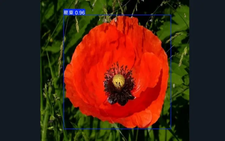 在這裏插入圖片描述