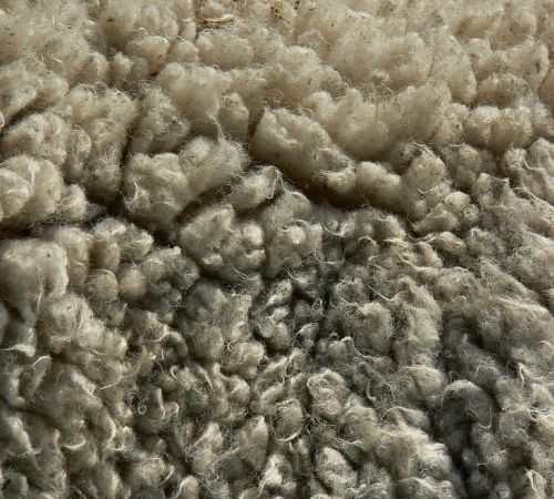 Wool Texture