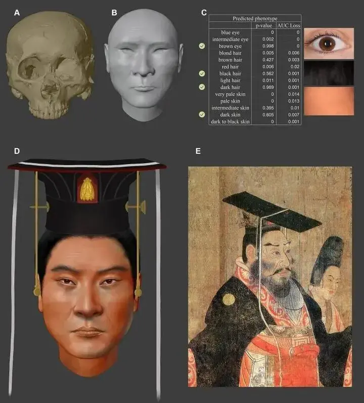 在這裏插入圖片描述