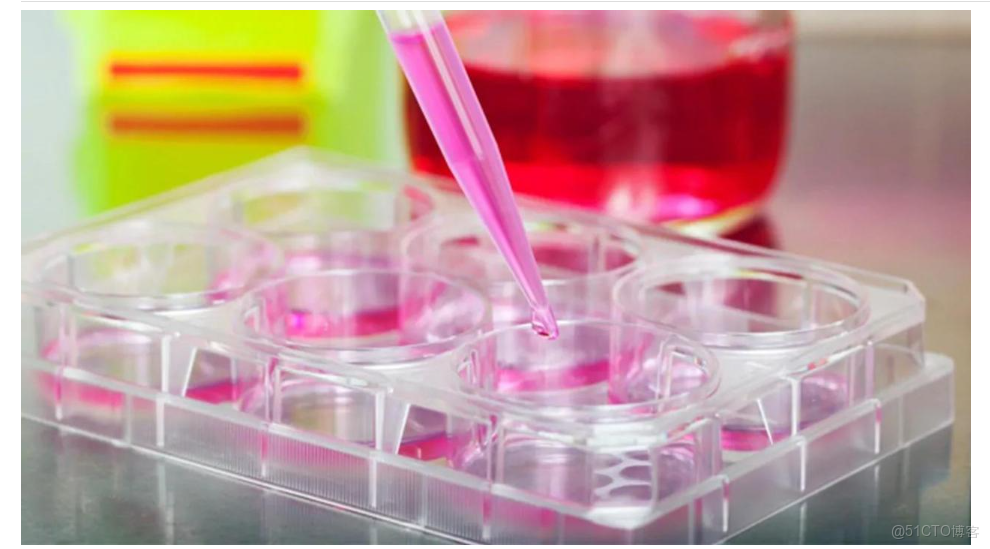 重組蛋白表達——表達異常及解決方案_參考文獻