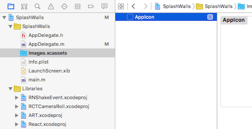 AppIcon section can be found under Images.xcassets.
