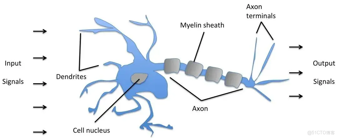 對深度學習概念的基礎理解與認識_機器學習