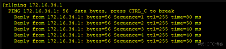 HCIP———OSPF綜合大實驗_#網絡_28