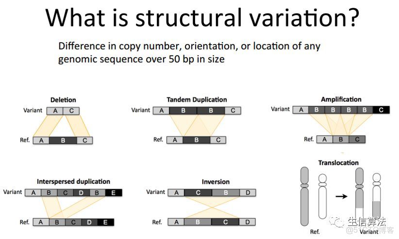SPARK 基因_#算法