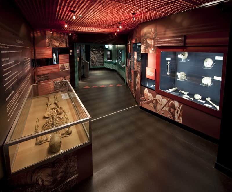 Picture of the Jorvik Viking Centre inside