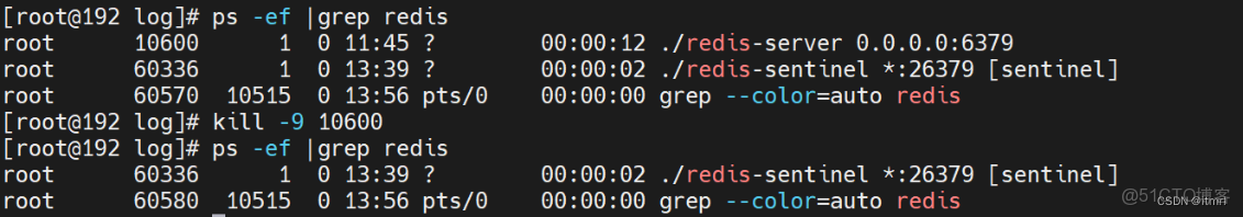 搭建並使用redis哨兵模式_Redis_05