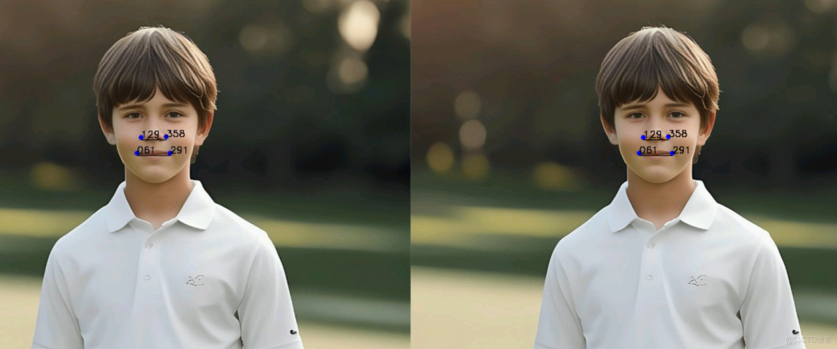 【案例共創】基於華為雲開發環境桌面版的人臉顏值打分_python_20