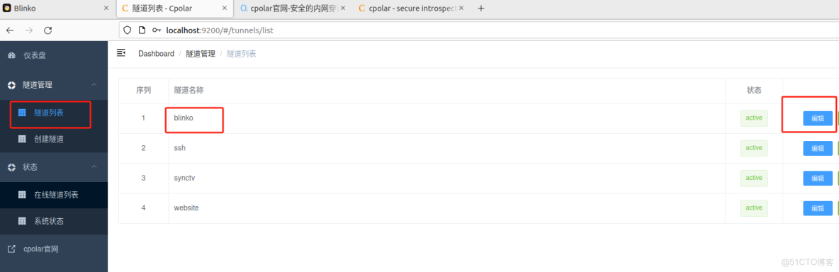 完整教程：告別筆記侷限！Blinko+cpolar讓AI筆記隨時隨地可用_二級_18