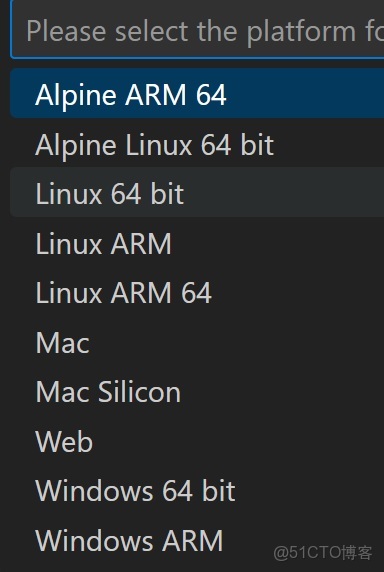 VS code 使用 Remote-SSH 進行python遠程開發_vs code remote_#1024程序員節_05