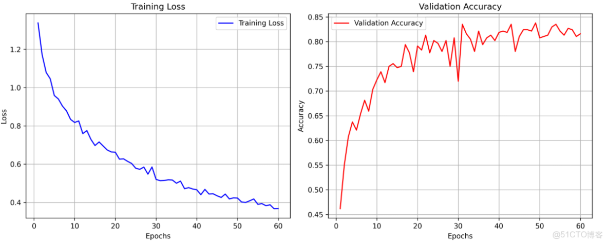 基於pytorch搭建AlexNet神經網絡用於花類識別_#人工智能_07