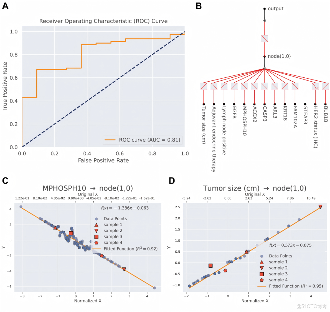 iMetaMed | 温附一夏二傑組-預測乳腺癌5年生存率-可解釋機器學習模型_#人工智能_07