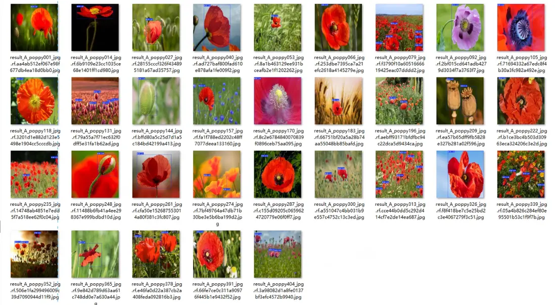 在這裏插入圖片描述