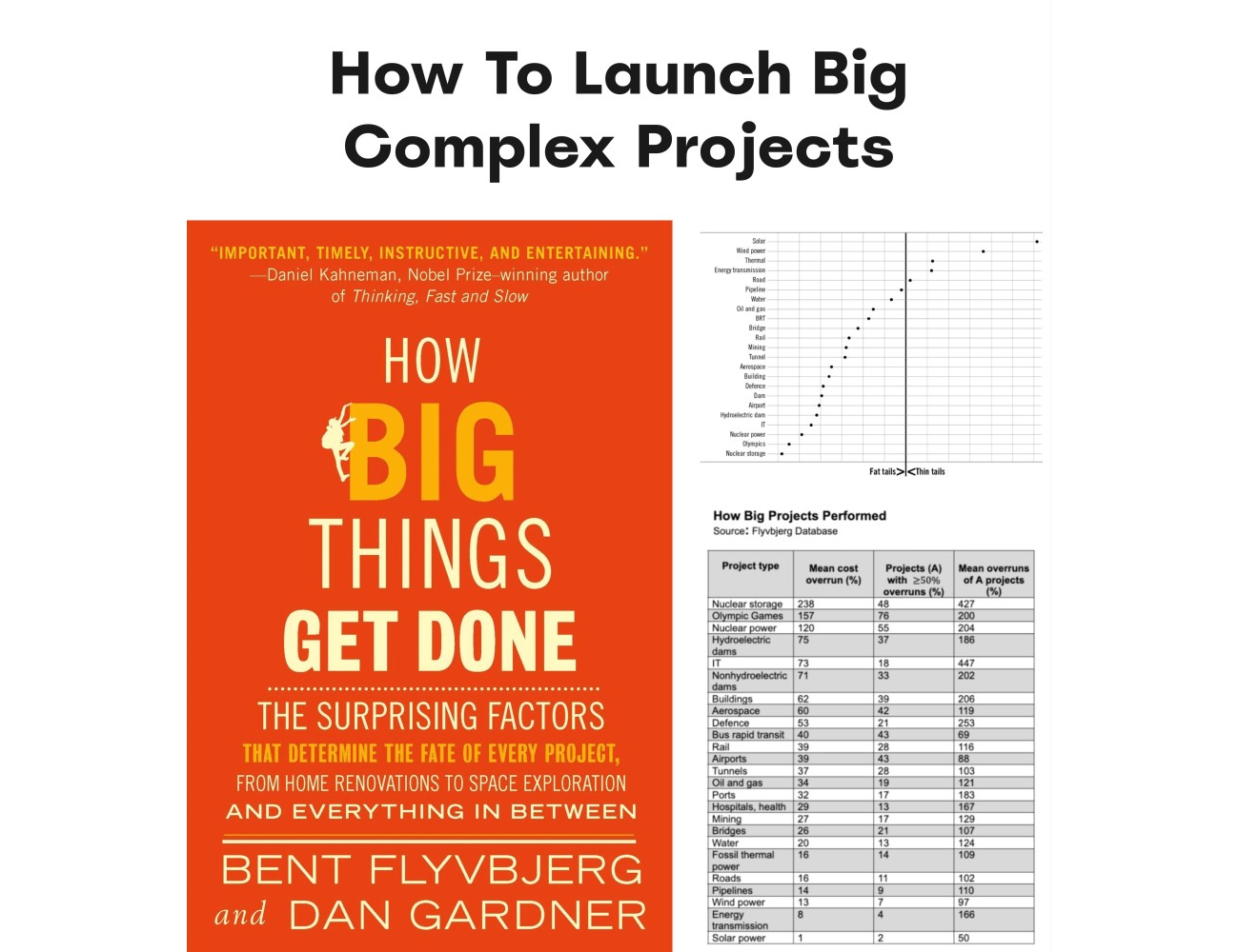 How to launch big complex projects, a book cover