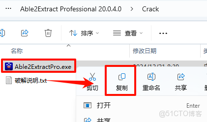 PDF文件轉多格式工具Able2Extract 20安裝教程及下載_PDF文件轉多格式工具Able2Extr_10