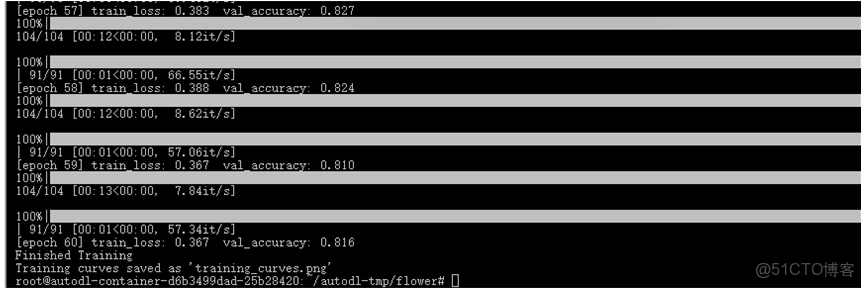 基於pytorch搭建AlexNet神經網絡用於花類識別_#人工智能_06