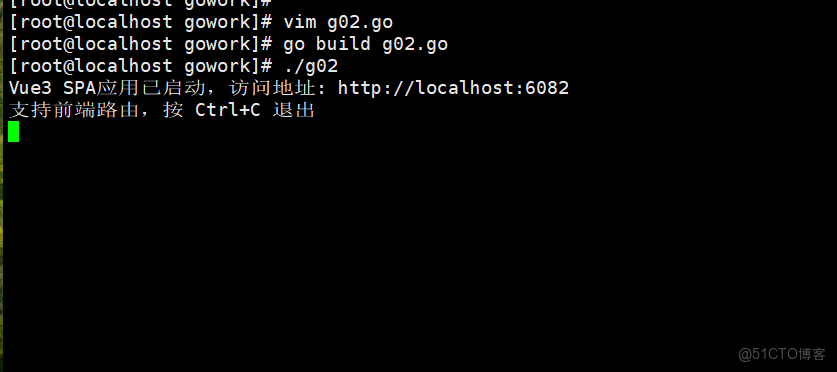 Go語言Embed把vue3編寫的前端內嵌到Go的程序中去_靜態文件_08