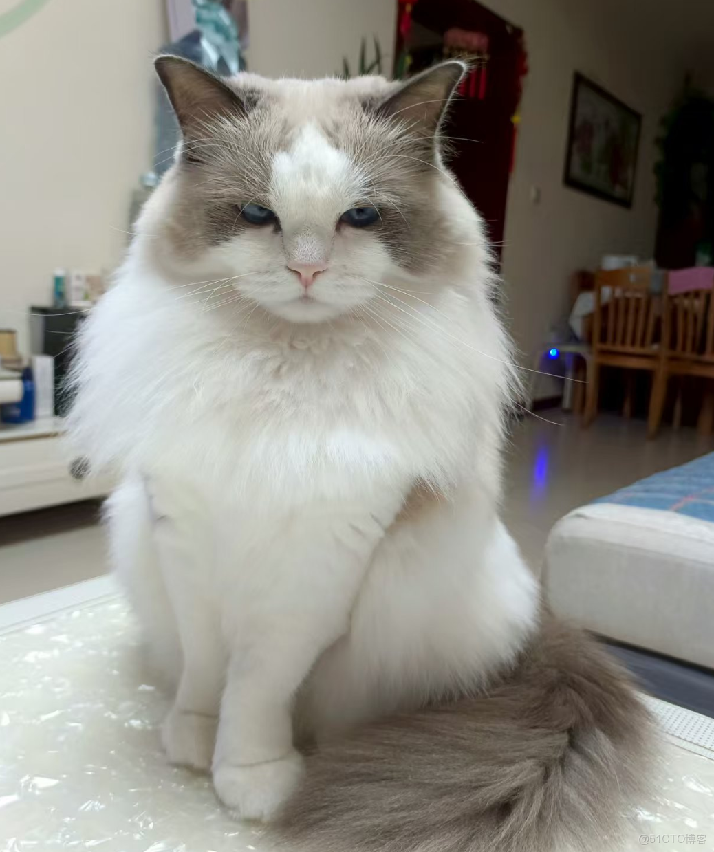 QT之QTableWidget控件_qtabelwidget_Qt