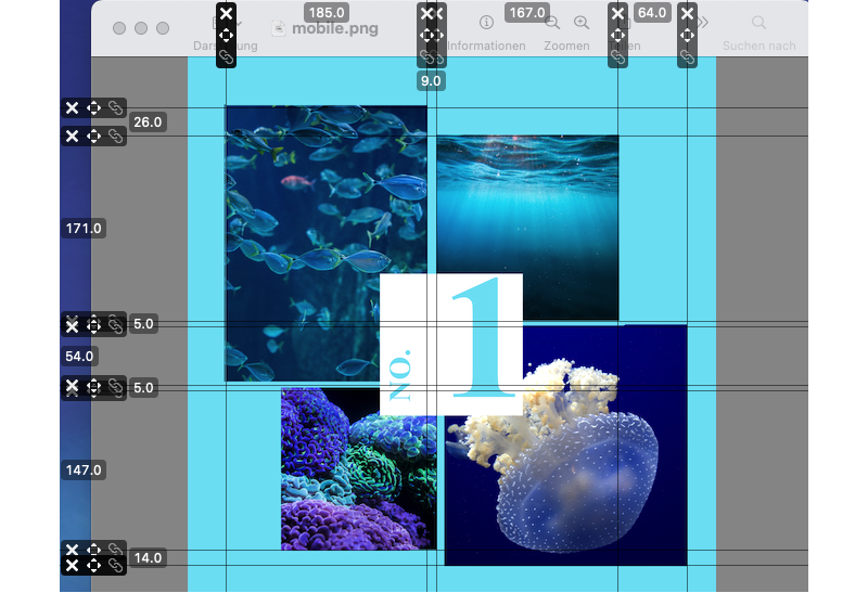 Image with a ruler overlay
