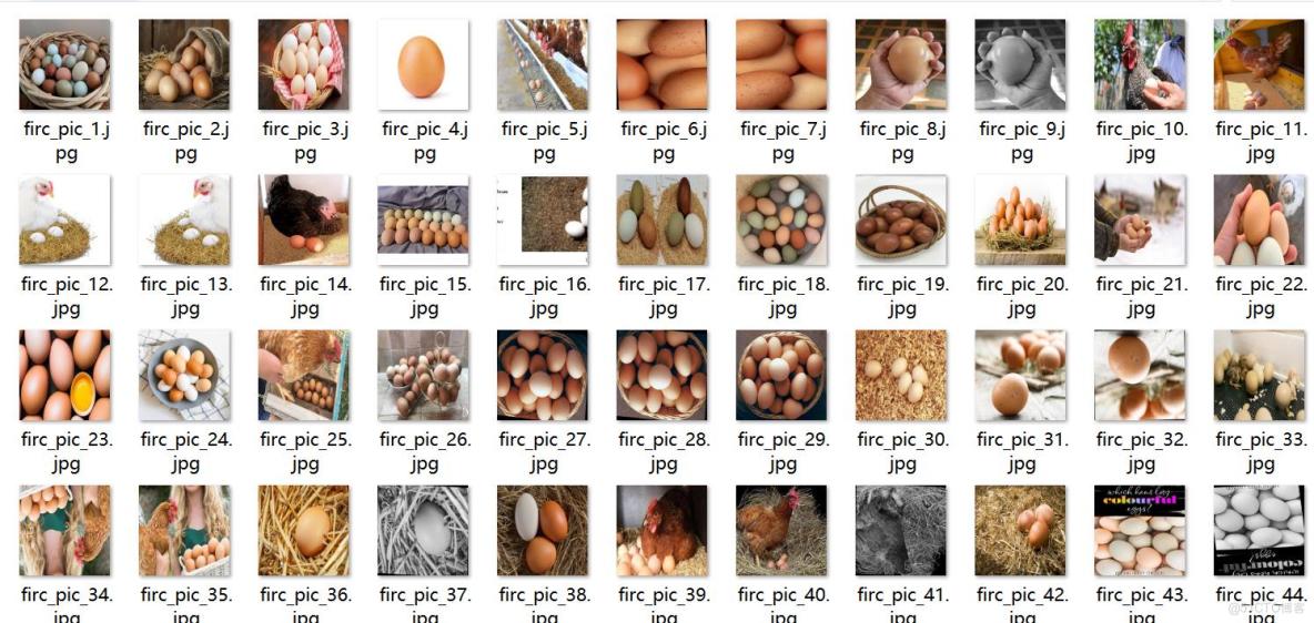 雞蛋檢測數據集VOC+YOLO格式2136張1類別_xml文件