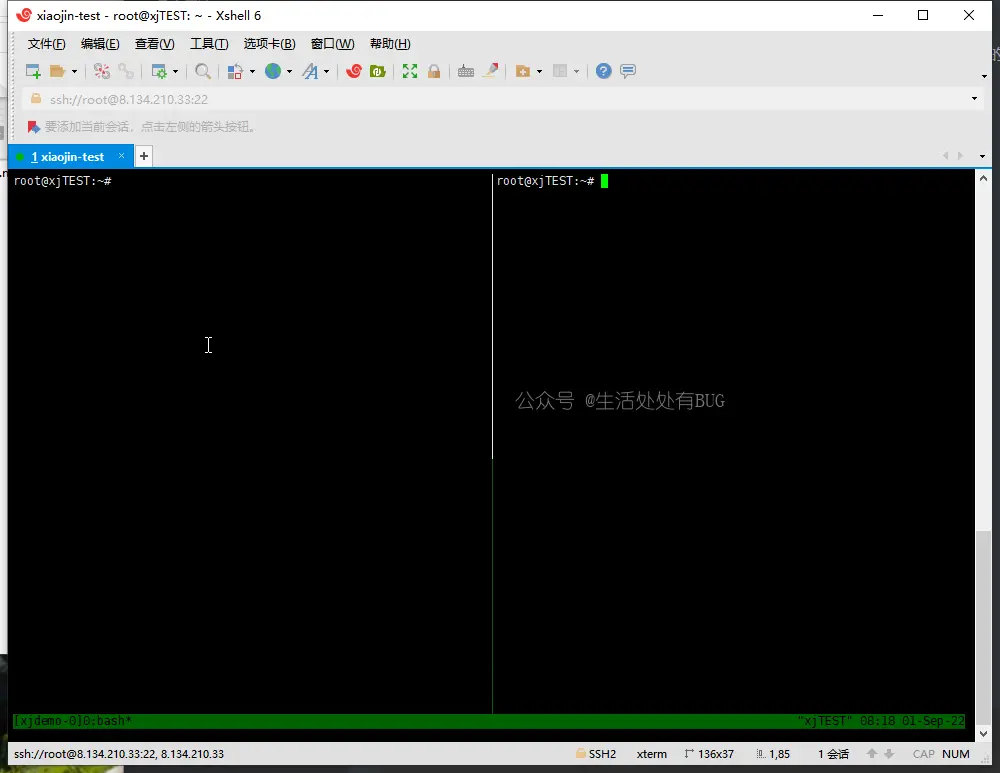 Tmux-demo-image (3)