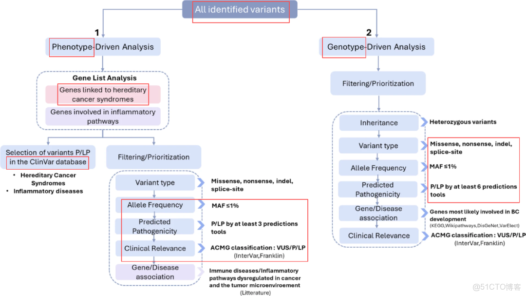 遺傳病、罕見病、腫瘤、家系最新文獻目錄 2025/04/19~11/25 全96篇_ci_06