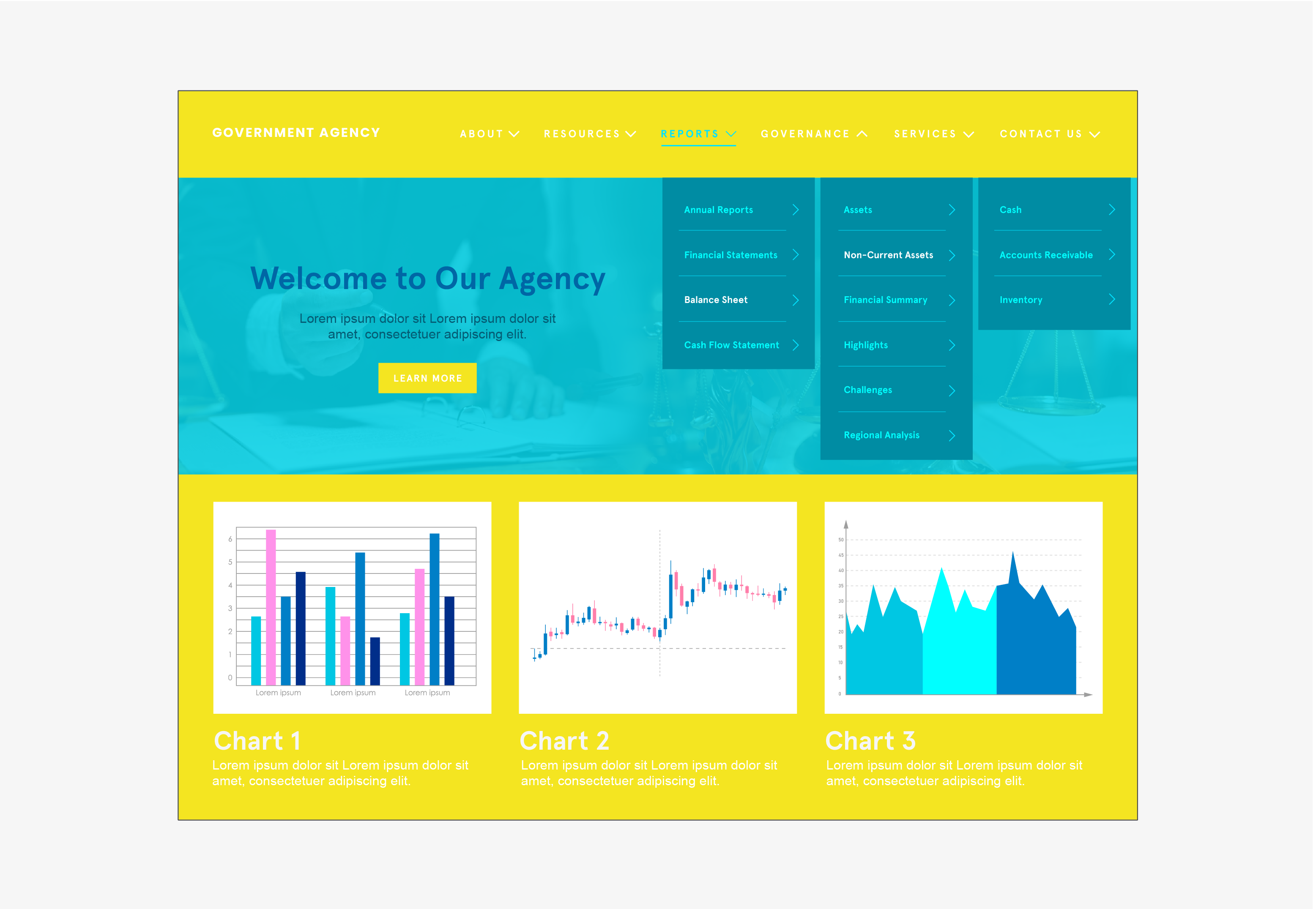 An example of a local government agency website, which is not accessible